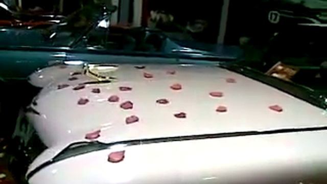 Элвис жив? смотреть онлайн