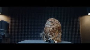 Как Касперский звук свиньи придумал