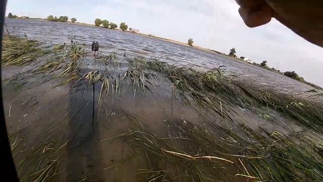 РЫБАЛКА НА КАРПА | АСТРАХАНЬ смотреть онлайн