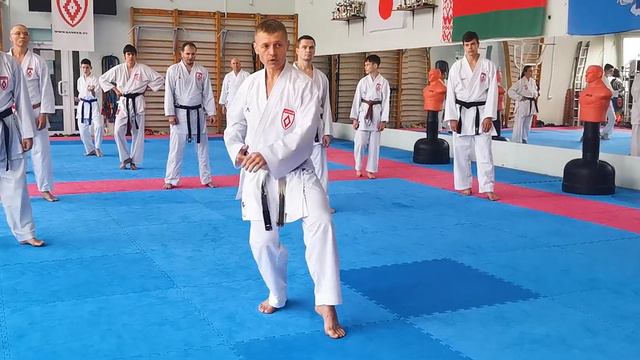Seminar #1 Training 2: 5 stages of conflict development Junro Shodan Bunkai смотреть онлайн