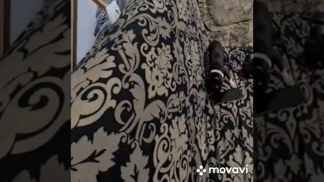 Лира кому то хочет позвонить смотреть онлайн