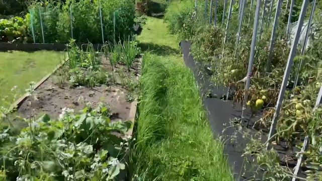 Озеленение с легкостью: идеи для простого участка