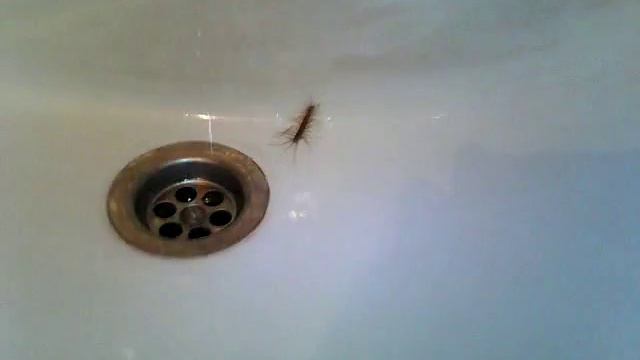 В школе √20 , вылез из крана таракан смотреть онлайн