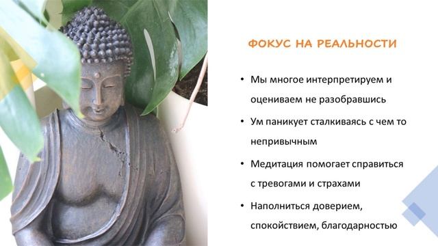 Интерпретации ситуации / Страх короновируса / День шестой / 7 дней осознанности, медитации и любви смотреть онлайн