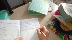 Взяла на проверку тетрадки по русскому языку