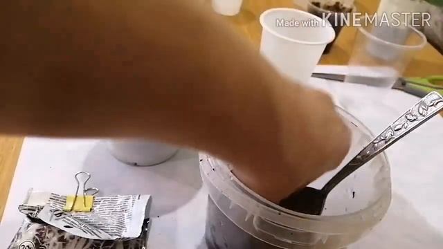 Антуриум. Посадка укорененного черенка. смотреть онлайн