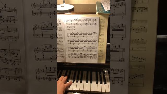 Rachmaninov Variations on a theme of Corelli Рахманинов Вариации на тему Корелли ор.42 Variation XI смотреть онлайн