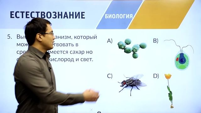 8 класс. Подготовка к II-этапу олимпиады IQanat по предмету «Биология» смотреть онлайн