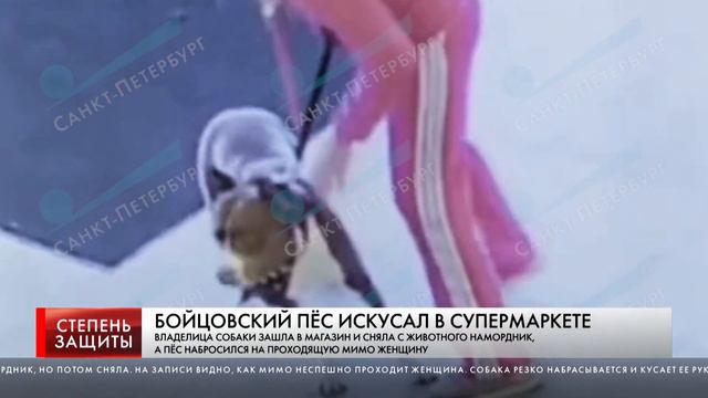 БОЙЦОВСКИЙ ПЁС ИСКУСАЛ В СУПЕРМАРКЕТЕ смотреть онлайн