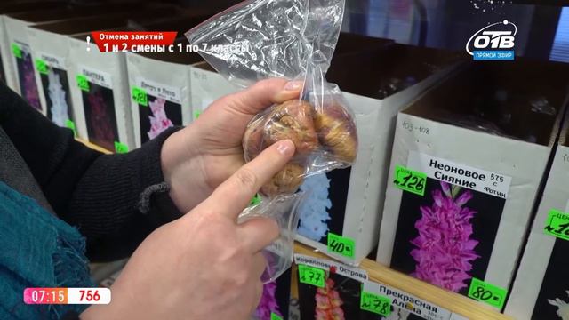 Руки садовода - время выбирать гладиолусы смотреть онлайн