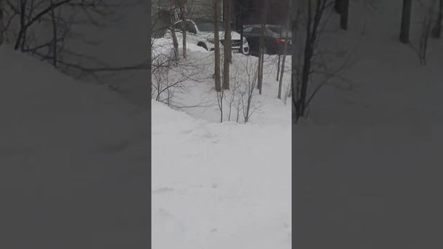 Машина едет без водителя и страшно смотреть онлайн