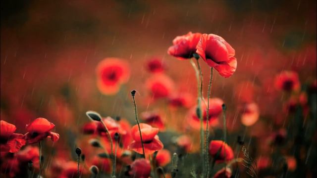 Притча со смыслом "Комната" смотреть онлайн