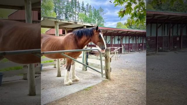 Trip to Tauranga| New Zealand| 2021 смотреть онлайн