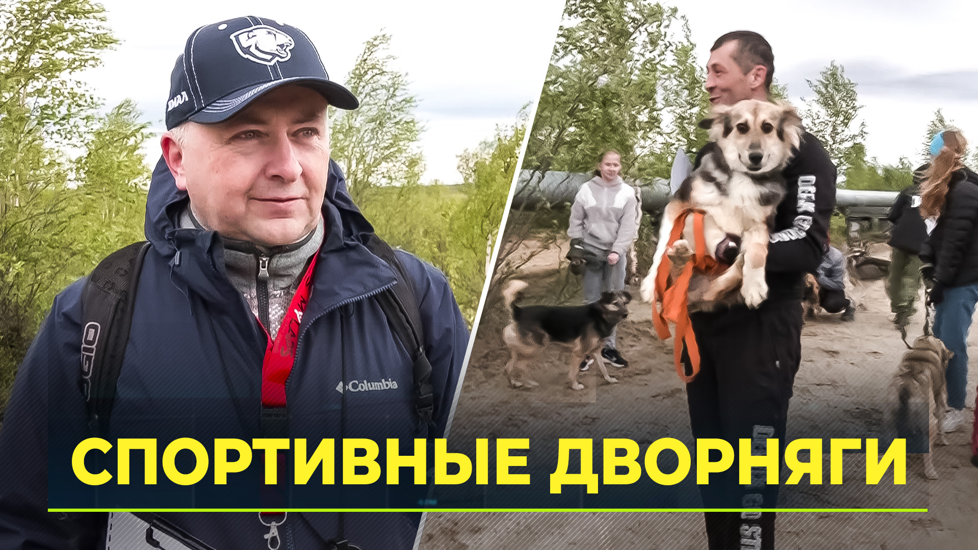 В зооприюте провели каникросс