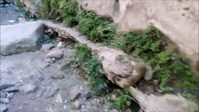 Кипр - экскурсия в ущелье Авакас смотреть онлайн