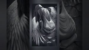 Наутилус помпилиус - Крылья