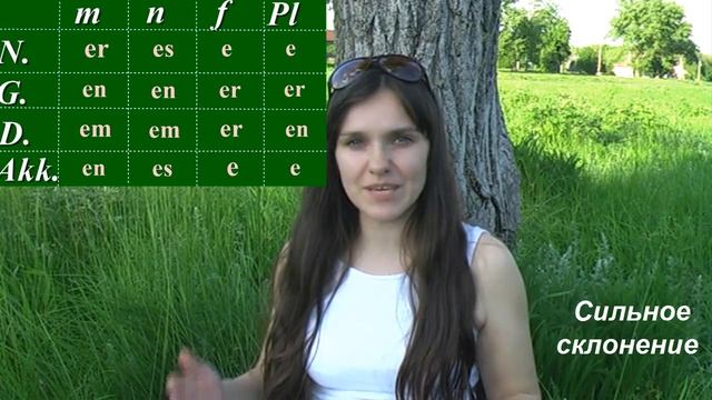 Хочешь, я расскажу тебе сказку?:) Склонение прилагательных. Немецкий язык. смотреть онлайн