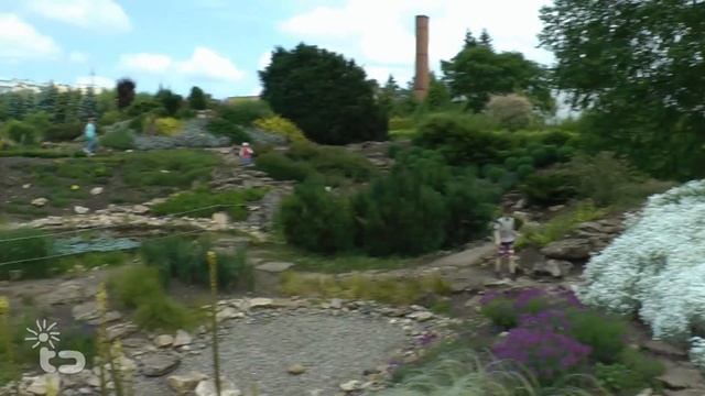 Детский праздник Бизнес ИТ в Ботаническом саду смотреть онлайн