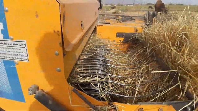 Беларус МТЗ 82.3 смотреть онлайн