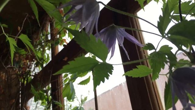 Люблю грозу в начале мая...!!! смотреть онлайн