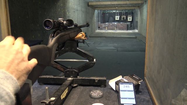 Gamo Black Bear, 90 mètres, carabine 20 Joules смотреть онлайн