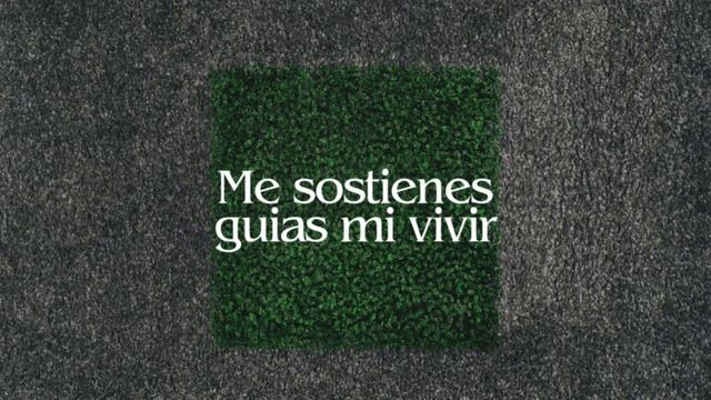 David Dias - Junto a mi (Letra) смотреть онлайн