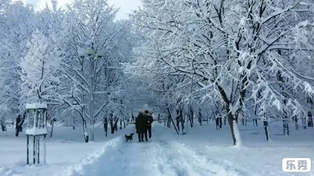 ЗИМА. 11.01.2022 год. Читает автор стихотворения ЭльХан. смотреть онлайн