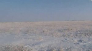 Астана Охота на зайца с спаниелем