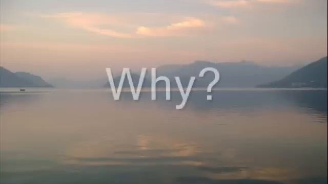 Antique - Why? (lyrics) смотреть онлайн