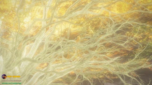 [Elden Ring VN] Cách năn nỉ NPC bán tất cả SOMBER SMITHING STONE trong SHOP [1 - 9] [4k 60fps] смотреть онлайн
