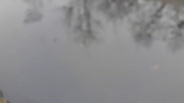 Зимний рыбалка руками1 Ловлю рыбу руками зимой в болоте! смотреть онлайн