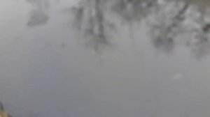 Зимний рыбалка руками1  Ловлю рыбу руками зимой в болоте!