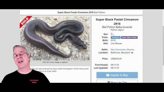 The '8-Ball' Ball Python смотреть онлайн