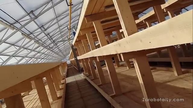 ОГРОМНАЯ конструкция теплицы, для выгонки зелени лука смотреть онлайн