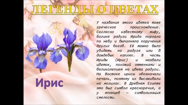 (12+) Слайд путешествие В гостях у богини Флоры смотреть онлайн