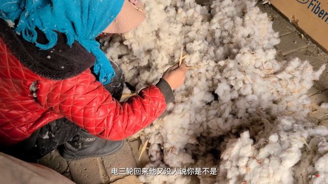 【环华十年】新疆路边捡棉花做成棉被全过程，感觉像捡钱一样【Xinjiang cotton quilt】 смотреть онлайн