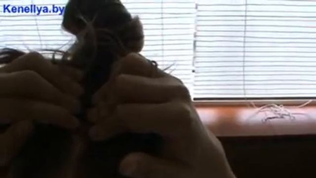 Кенеллия.Самомассаж при высоком давлении.Учебное видео. смотреть онлайн