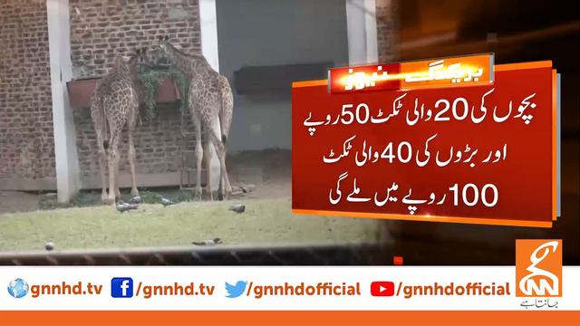 Lahore zoo ticket's price increased l 27 Dec 2020 смотреть онлайн