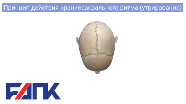 Принцип действия краниосакрального ритма, утрированно (craniosacral rhythm, exaggerated) смотреть онлайн