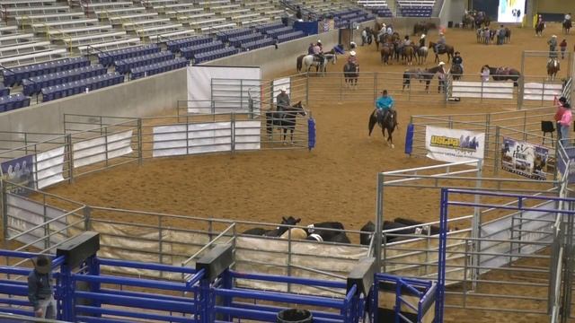 Team Sorting #9 Short Go (Final) - 2019 USTPA Panhandle Pen & Sort смотреть онлайн