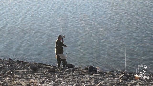 Фестиваль по ловле донной удочкой РвоВ Дунаев Волгоград!!! смотреть онлайн
