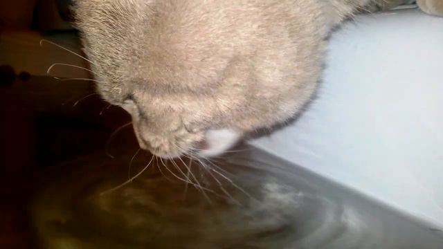 Замедление видео смотреть онлайн