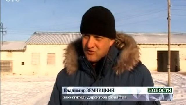 В Тогучинском районе капитально отремонтировали коровник смотреть онлайн