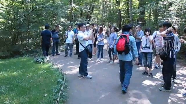 У могилы Толстого смотреть онлайн