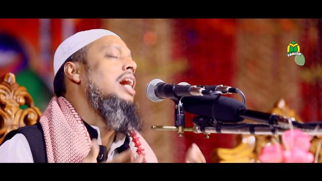 Mizanur Rahman Azhari & Amir Hamza সম্পর্কে  কি বললেন- ড. ফয়জুল হক