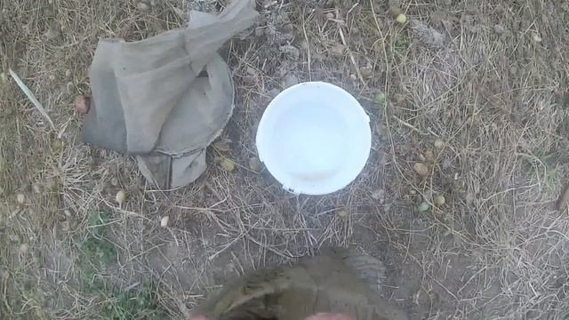 Ловля живых кормов для аквариумных рыб. смотреть онлайн