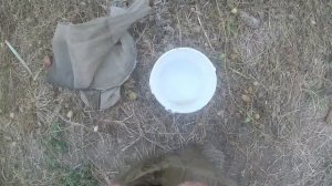 Ловля живых кормов для аквариумных рыб.