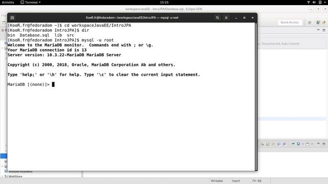 TUTO Java EE - Mapping des collections смотреть онлайн