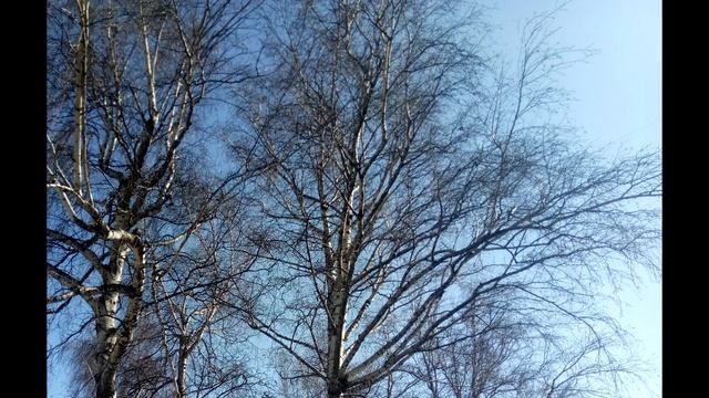 Кожа лица без морщин и пигментных пятен. Фарфоровое личико. смотреть онлайн