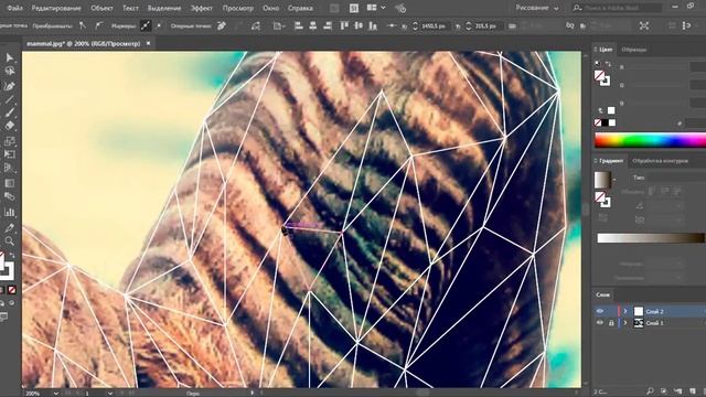 Capricorn Of Triangles.